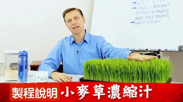 【繁体中文字幕人工翻译】小麦草种植、采收过程说明,柏格医生 Dr Berg