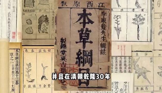 不吹不黑,这款阿道夫洗发水堪称头屑吸尘器