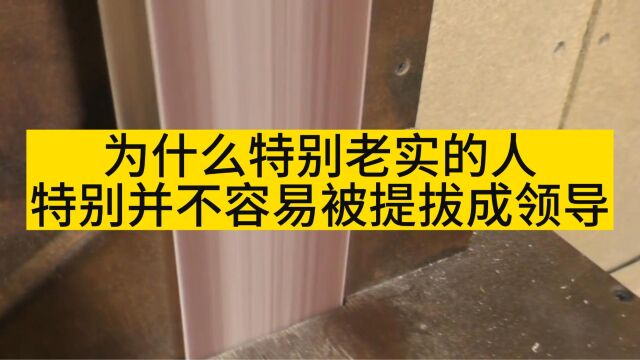 为什么特别老实的人,特别并不容易被提拔成领导