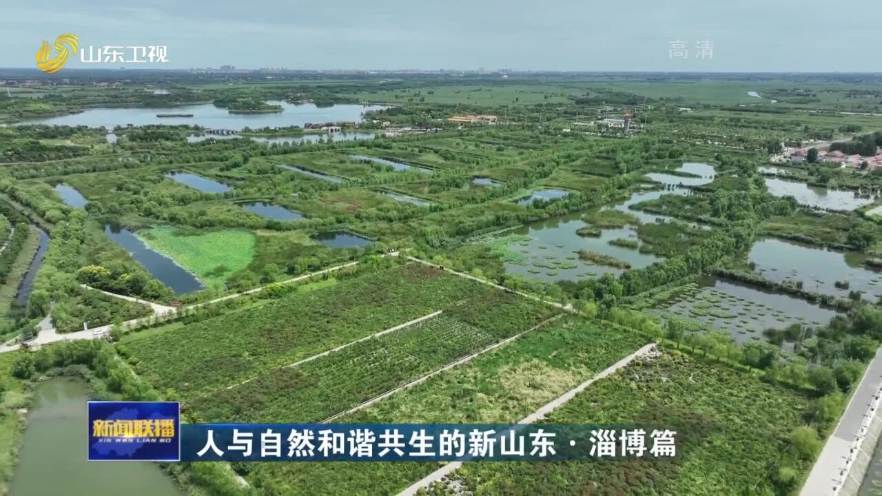 人与自然和谐共生的新山东ⷮŠ淄博篇丨实施精准系统治理 全力提升水环境质量