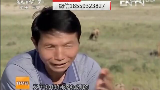 央视专题报道:骆驼奶粉哪个品牌是最好