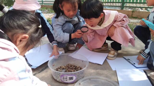 庄浪县第三幼儿园,大二班自然课程:《蜗牛旅行记》