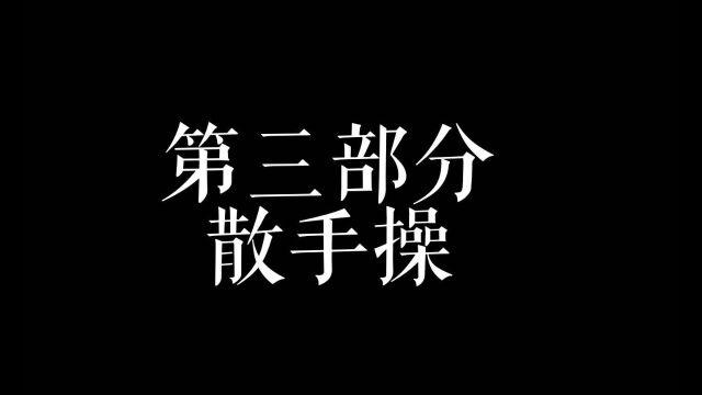 中国功夫操 第三部分 散手操