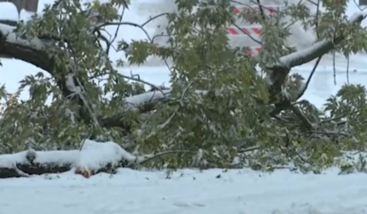 美国密歇根州马斯基根遭遇大雪