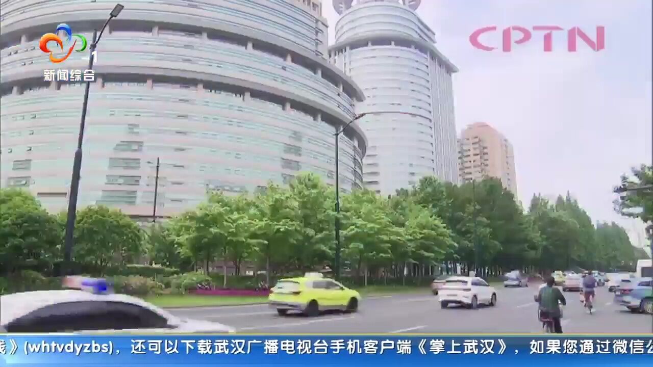 剪走路边景观花售卖 父子二人双落网