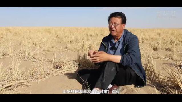 “拥抱”大漠,“绿染”家园——立体防沙治沙的甘肃实践