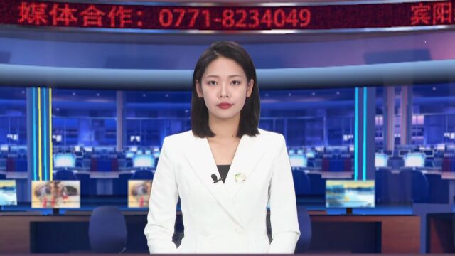 11.3《宾阳新闻》