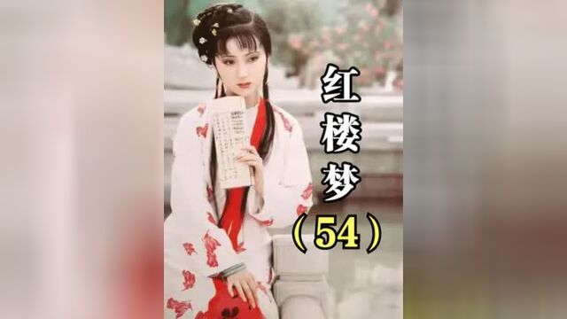 红楼梦第54集丨宝玉前脚表白黛玉,后脚就被宝钗勾了魂,妥妥的渣男