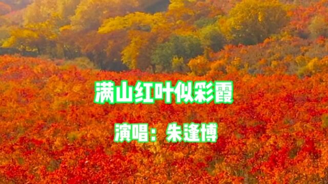 朱逢博演唱的歌曲《满山红叶似彩霞》,请欣赏