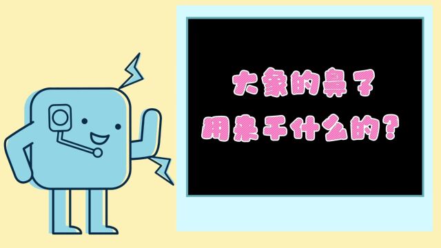 【一分钟科普小课堂】大象的鼻子用来干什么的?