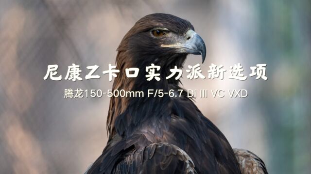 尼康Z卡口实力派新选项——腾龙150500mm F/56.7 Di III VC VXD