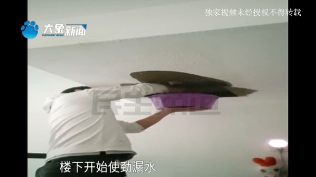 河南郑州:花钱给卫生间做防水,结果楼下漏成了“河”?业主:我成大冤种了