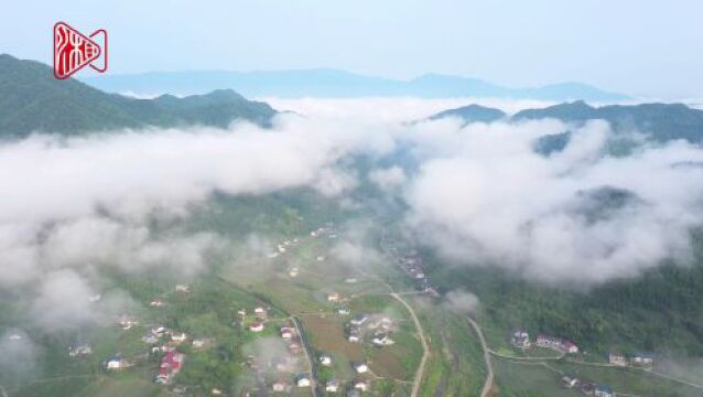 视频 | 仙境!炎陵绝佳避暑胜地“仙鹅湖”