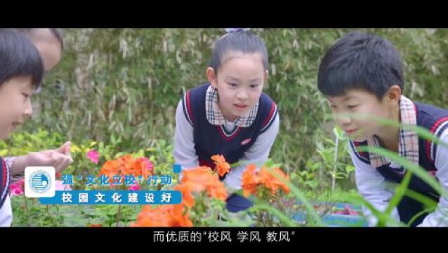 上海市浦东新区龚路中心小学:“六好”为引领,文明厚内涵