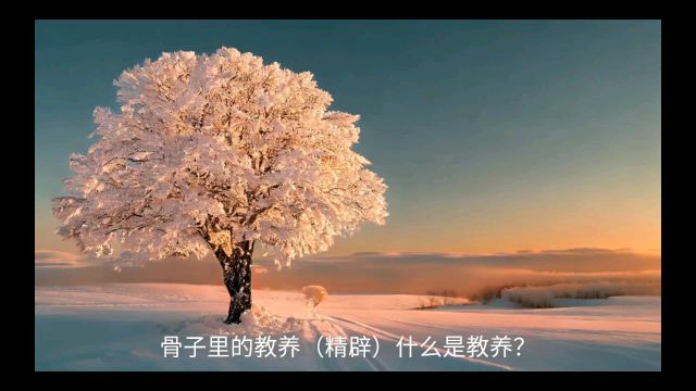 骨子里的教养,什么是教养?