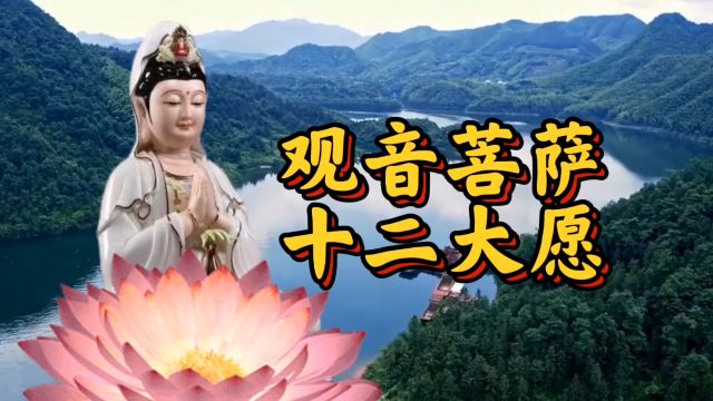 【观音菩萨十二大愿】愿您闻音所求皆如愿.