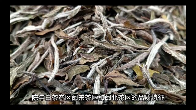 茶来藏团队讨论闽东茶区和闽北茶区的陈年白茶外形毫心、干茶色泽汤色滋味、叶底活性的比较.