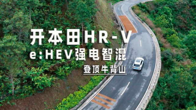 川西自驾丨翻高原见雪山云海,“都市爬山虎”HRV登顶牛背山