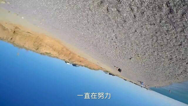 坚持努力加油!