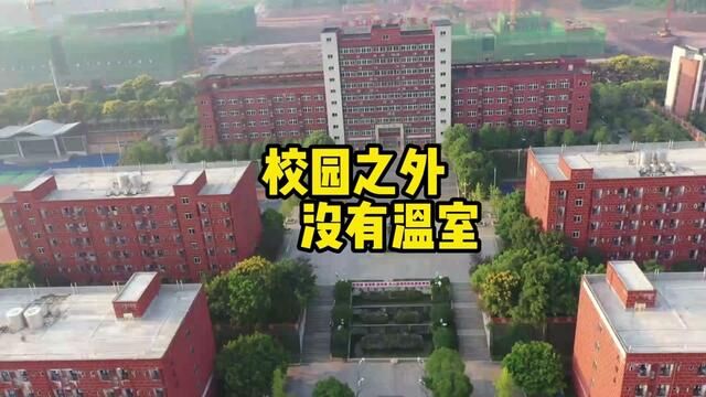 同学们,你们对社会真的了解吗?#校园生活 #社会百态 #中学生