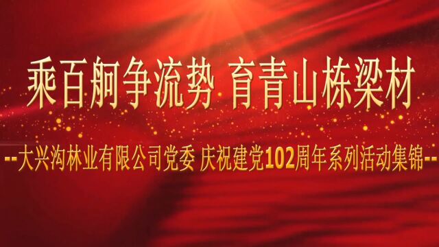 乘百舸争流势 育青山栋梁材大兴沟林业有限公司党委庆祝建党102周年系列活动集锦