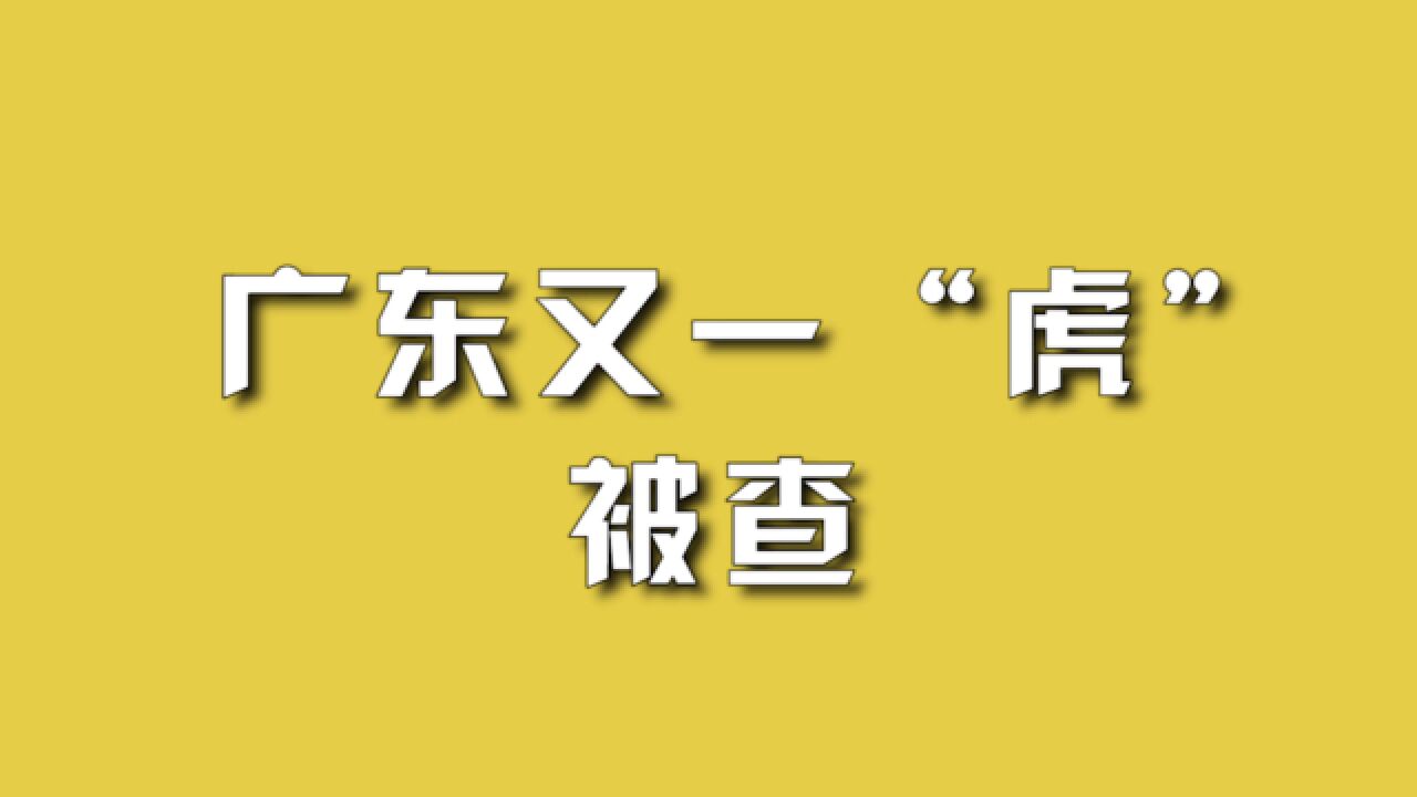 广东又一“虎”被查.