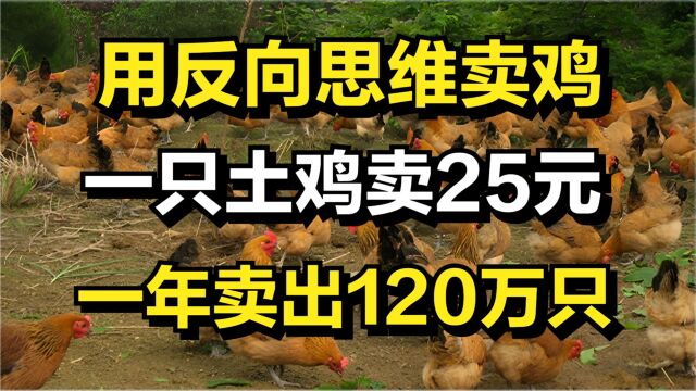 他用反向思维卖鸡,一只土鸡卖25元,一年卖出120万只!