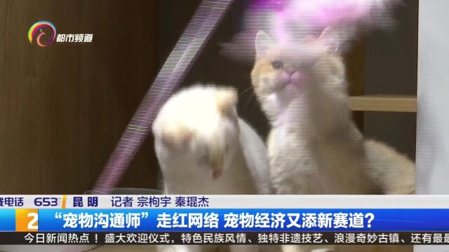 “宠物沟通师”走红网络 宠物经济又添新赛道?