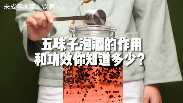 五味子泡酒的做法,用多少度的酒?你一定想要知道