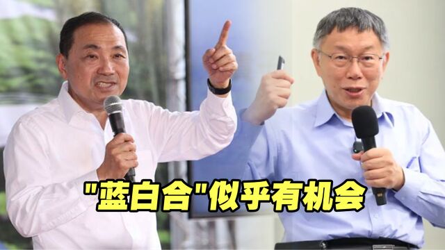 你让出台中民代,我退掉基隆选区?“蓝白合”似乎有机会