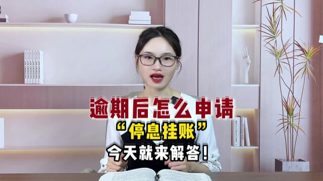 粉丝经常问我yu期后怎么申请“停息挂账”,今天就来解答!