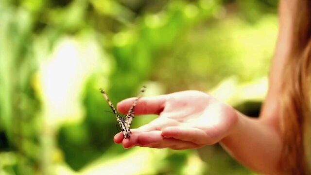 醍醐灌顶的人生九大守恒定律,探索人生真谛