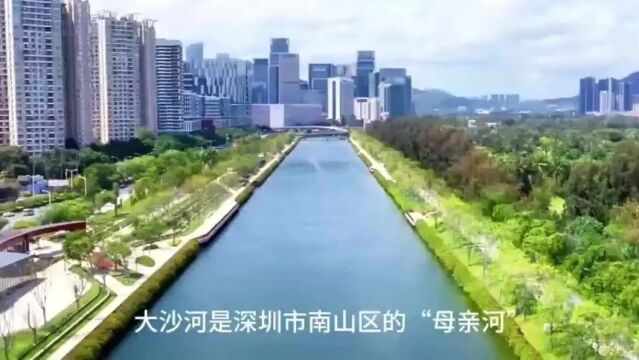 打造智慧城市先锋城区,南山在这个全球性大赛中获奖