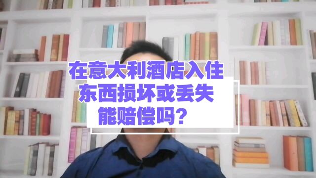 在意大利酒店入住东西损坏或丢失能赔偿吗