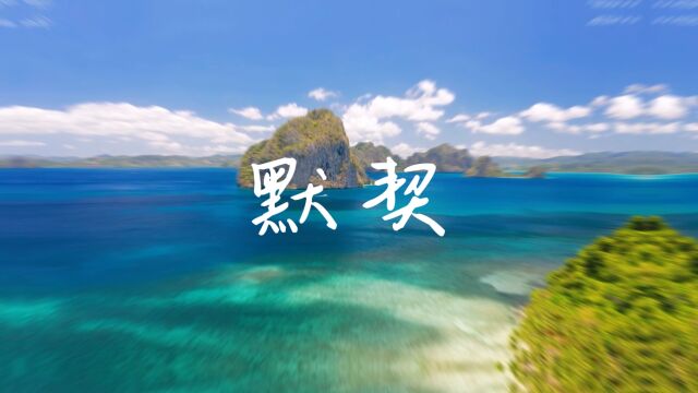 风景 语录 大海 天空 奋斗 抒情 心灵 励志 阳光沙滩 海岸 默契