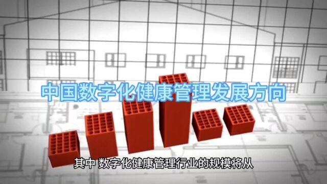 【摩盒健康】中国数字化健康管理发展方向