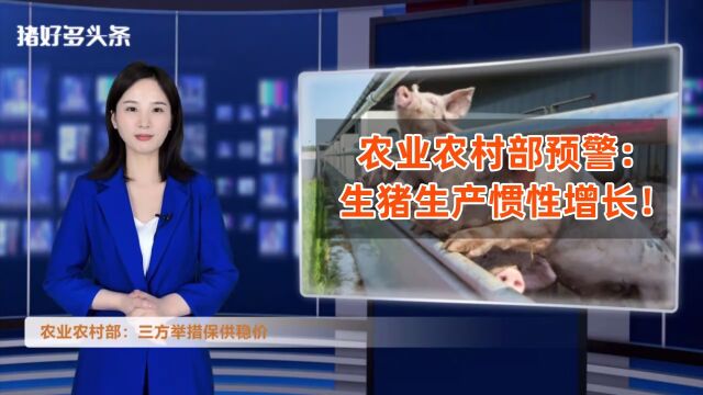 警惕!7、8月生猪供应增加!官方:下半年采取三方措施保供稳价