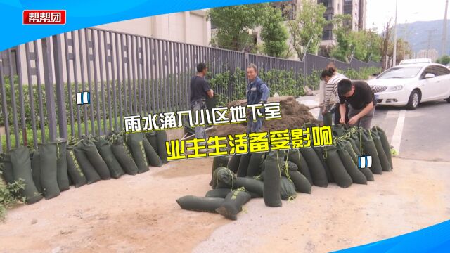 雨水倒灌进小区地下室 电梯成了“水帘洞” 业主:已遇到两三回