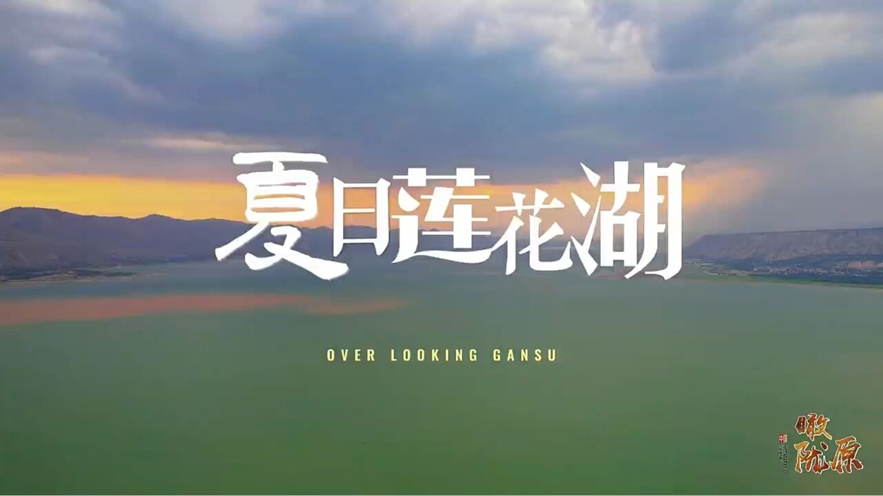 瞰陇原|临夏县:夏日莲花湖