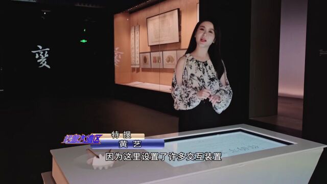 打卡花都新地标!漫步百年古村、赏荷、看展……