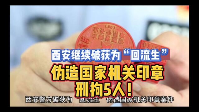 西安继续破获为“回流生”伪造国家机关印章,刑拘5人!