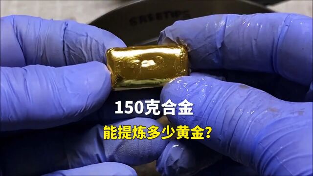 150克合金能提炼多少克黄金?