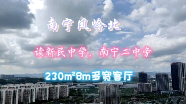 南宁凤岭北,新民中学校区,230平8米多宽客厅,全新装修未入住过