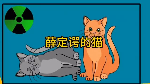 薛定谔的猫,一只不生不死生死叠加的猫