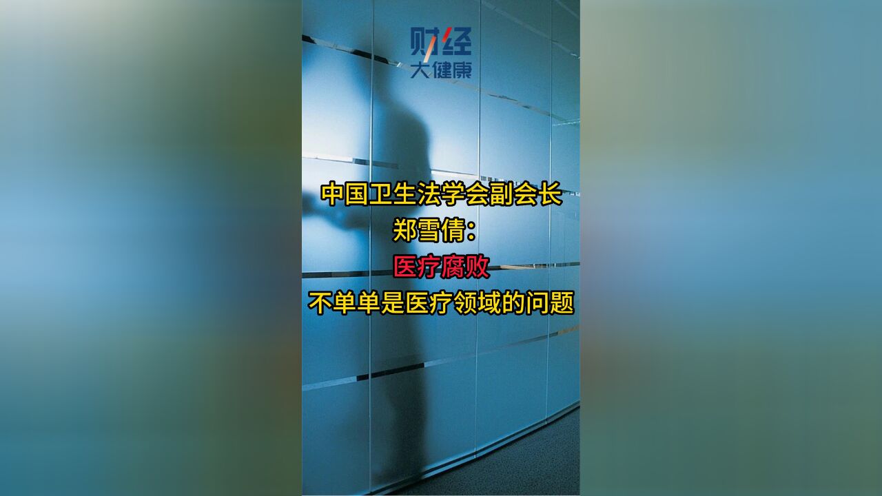 中国卫生法学会副会长郑雪倩:医疗腐败不单单是医疗领域的问题