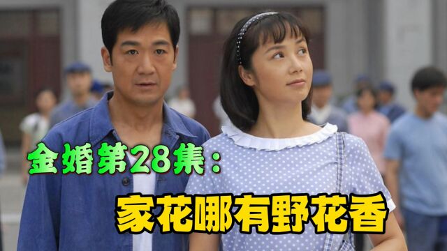 电视剧金婚28:家里红旗不倒,外面彩旗飘飘