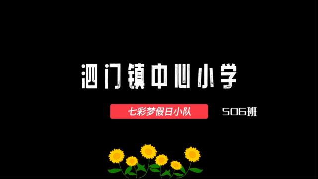 余姚市泗门镇中心小学 七彩梦假日小队 活动花絮