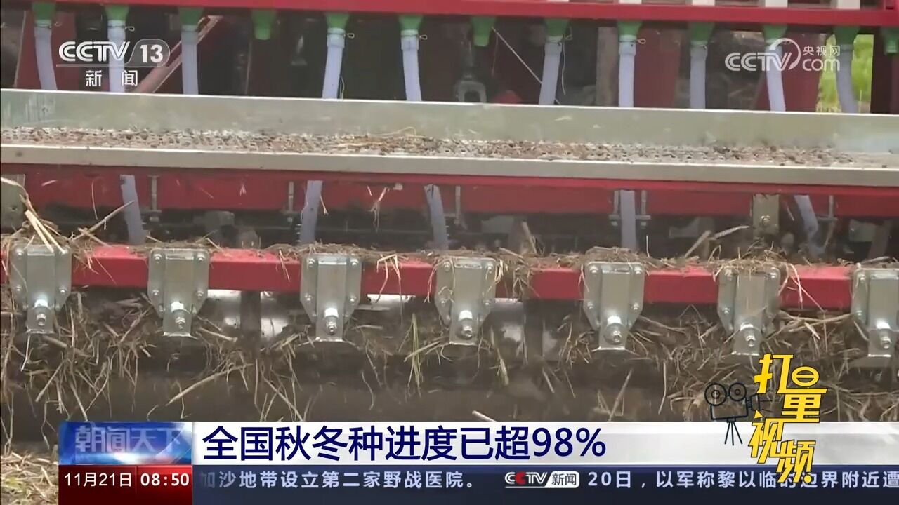 关注!全国秋冬种进度已超98%