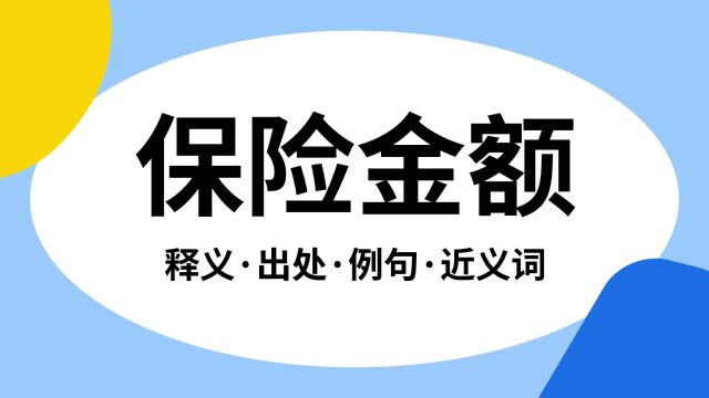 “保险金额”是什么意思?