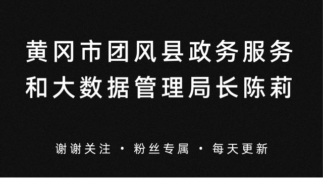 黄冈市团风县政务服务和大数据管理局局长陈莉